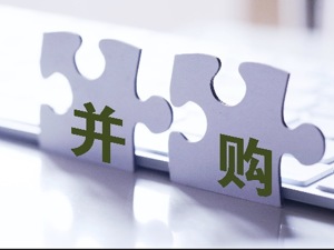 碧桂园、美的置业再分获百亿级并购贷款额度