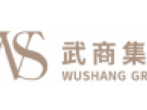 地产业务波动致鄂武商A去年营收微降 改名、出省能否打开新的增长空间？