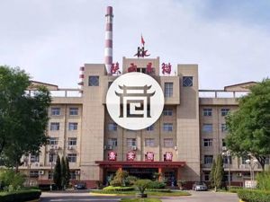 巷观年报〡陕西黑猫是“好猫”吗？