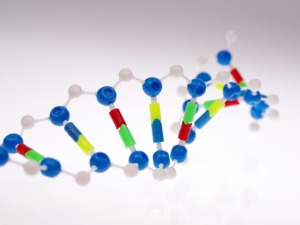 世见|人类基因组“拼图”最后8%是如何破译的？揭开了怎样的生命密码？每经专访论文首发团队T2T联盟