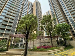 深圳一楼盘300户业主面临钱房两空：项目停工、预售款被划走、开发商欠债超20亿……