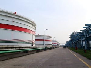 五周年回头看：浙江自贸区舟山片区“从0到1”之路