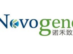 诺禾致源去年净利润同比增超500% 疫情扰动下未来业绩或承压