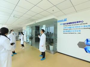 发挥“万能细胞”的魔力，再生医学与干细胞引领者“世联康健”加速推进干细胞临床研究