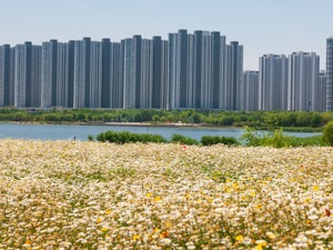 临沂公积金贷款政策放松 楼盘趁热推特惠房吸客