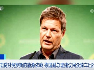 骑车出行、居家办公…为摆脱对俄能源依赖，德国副总理建议民众这样做