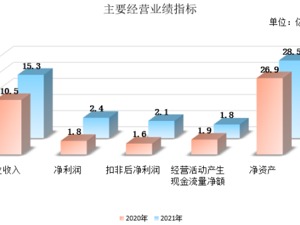 巷观年报│瑞联新材：营收同比增长45.35%，显示材料板块贡献最大