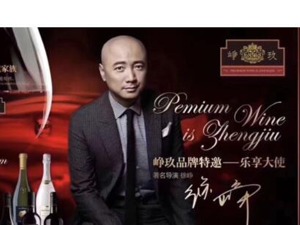 市场监管局回应：“TST庭秘密”涉嫌传销案已处于调查后期阶段 与张庭夫妇一起赚钱一起玩，徐峥夫妇能独善其身吗？