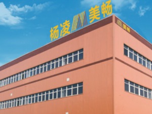 巷观年报〡美畅股份2021年净利润增长69.72%，升级扩能应对业绩隐忧