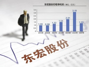 原材料涨价致成本增加 东宏股份去年业绩骤降近六成