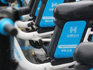 去掉“出行”再拓本地生活边界，注册用户突破5.5亿，哈啰“鱼和熊掌”可以兼得吗？