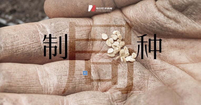 蔬菜种子“卡脖子”问题如何破局？ 