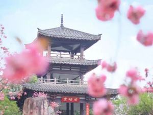 最高2万元！成都青白江区“一带一路”国际文创产品设计大赛作品征集活动启幕