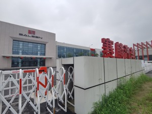 赛麟汽车挂牌拍卖 烧光56亿留下“一地鸡毛”