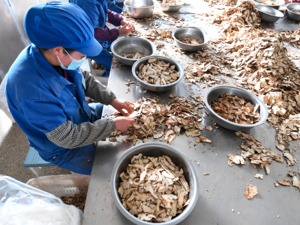县城将迎重大机遇！中办、国办发文：加快发展大城市周边县城 引导人口流失县城转型发展