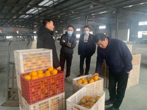 贷款增量创新高、利率稳中有降……人民银行杭州中心支行组织金融机构助企纾困发展