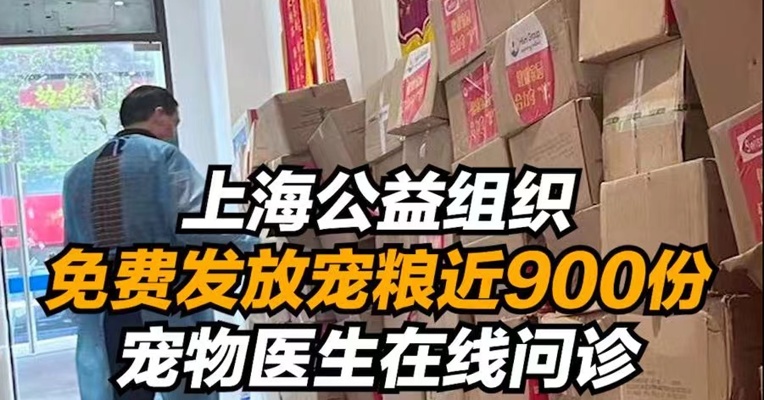 上海公益组织免费发放宠粮近900份，提供宠物在线问诊