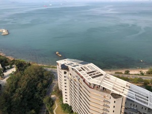 惠州一法拍海景房折价逾60%成交，仅4294元/平，为何这么便宜？