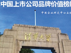 清华大学经济管理学院中国企业研究中心主任赵平：中国经济向好态势未变，上市公司品牌价值持续上升