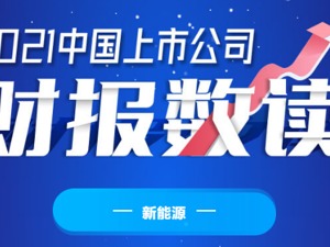 2021中国上市公司财报数读·新能源