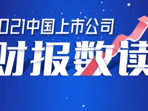 2021中国上市公司财报数读·汽车
