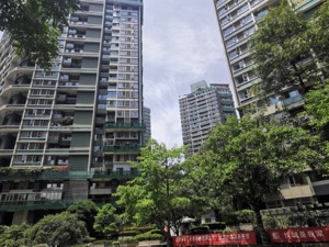 登记首日官网崩了！成都一网红盘逆市遭热捧 业内：热盘卖一个少一个