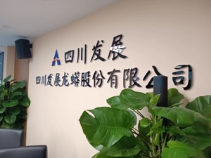 直击股东大会｜磷酸铁锂产能过剩隐忧下大举扩产 川发龙蟒董事长：不会因别人要上产能而“吓破胆”