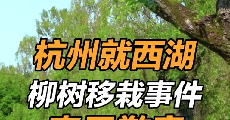 杭州就西湖柳树移栽事件表示歉意 