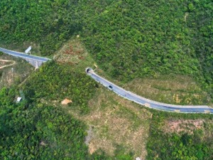 中国金融学会绿色金融专业委员会主任马骏：全球每年生物多样性相关融资需求超1万亿美元