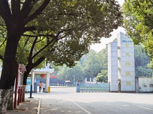 去年出口业务增66% 世龙实业遭深交所9问