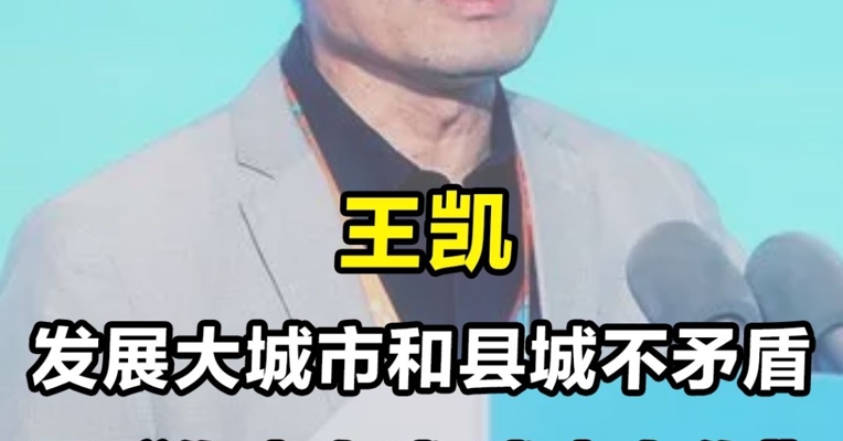 王凯：发展大城市和县城不矛盾，是”你中有我，我中有你“的协调发展