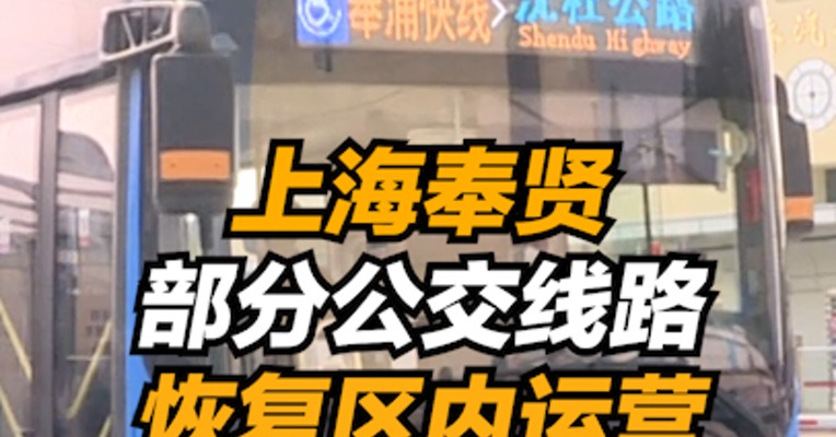 复工零距离｜上海奉贤部分公交线路恢复运营
