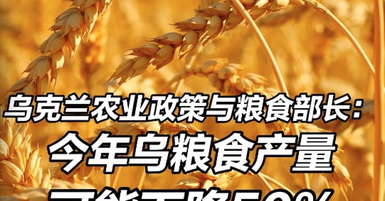 乌克兰农业政策与粮食部长：今年乌粮食产量可能下降50% 