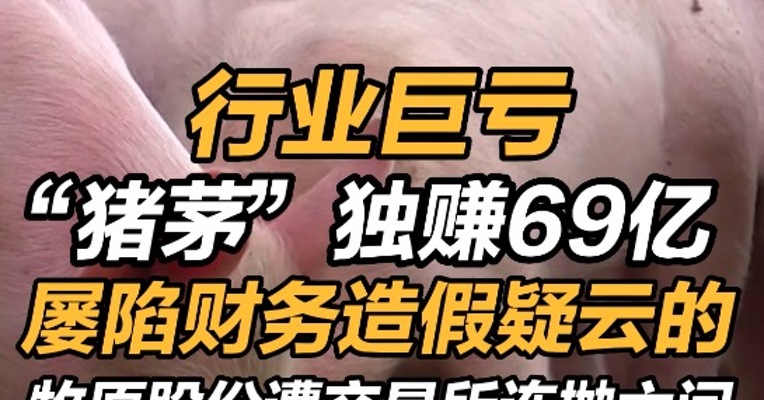行业巨亏，“猪茅”独赚69亿！交易所连抛六问