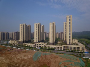 南京楼市多次“松绑”后分化明显：有楼盘一周卖近300套 有项目开盘半月零成交