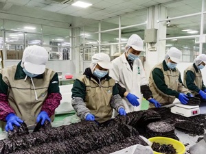 上海复工复产一线声音丨上海裕田总经理钟霄：保供，闭环生产已两个多月；复产，期待勃勃生机加速回归