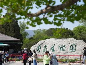 专访清华大学国家金融研究院绿色金融研究中心副主任孙天印：应充分重视生物多样性丧失可能引发的金融风险