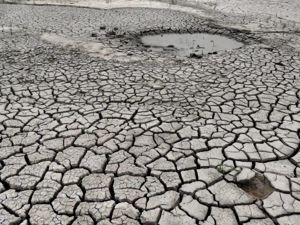 世界多地出现罕见热浪！西班牙多地遭遇40℃罕见高温，美媒：今夏极端高温或致全美大部分地区电网瘫痪！
