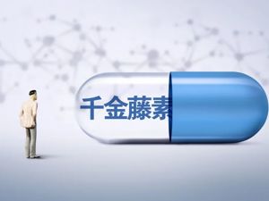 这家涉千金藤概念公司的实控人被证监会立案调查！“千金藤素抗新冠”争议背后存难题：外界质疑没有临床证据，研发团队说没钱没资源