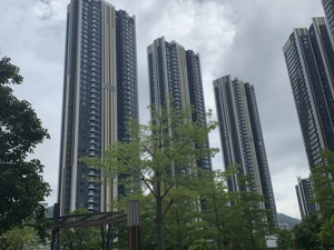 宝能豪宅资产批量上线法拍 近千万税费成最大争议点