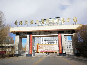母公司亲自下场，盐湖股份拟投70.82亿建锂盐扩产项目，另一概念股却闪崩 真相究竟是什么？