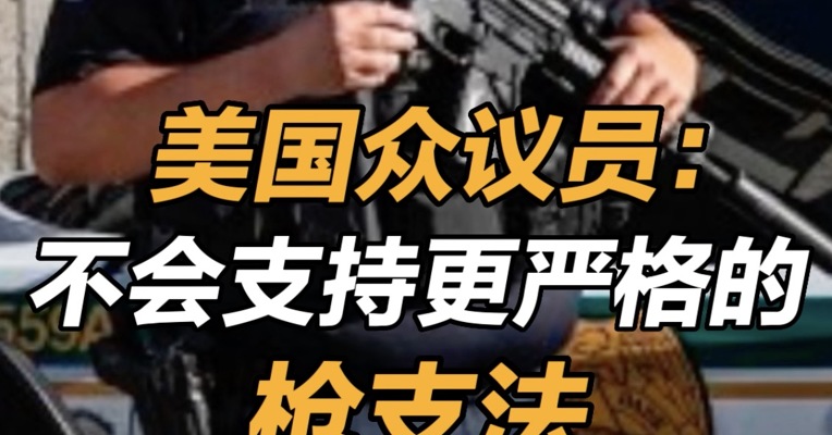 美国众议员称不会支持更严格的枪支法