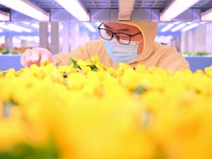 解读扎实稳住经济一揽子政策措施 国家发改委：合理扩大有效需求，推动重点领域加快复工达产