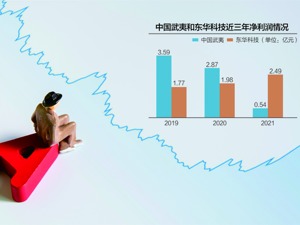 项目停工损失1.67亿！ 中国武夷起诉东华科技