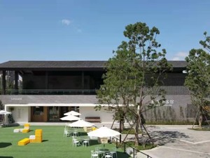 讲好“丝路新语” 成都青白江打造天府文化“城市会客厅 ” 