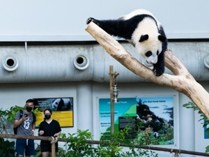 大城市周边需不需要动物园？
