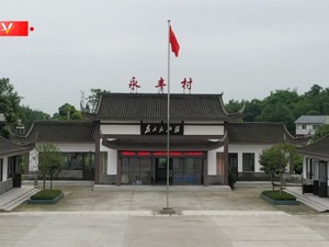 习近平四川行丨乡村振兴跑出“加速度”——走进太和镇永丰村
