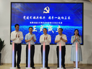 深谋做实两项改革“后半篇”文章 成都温江首个片区综合党委成立