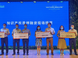 政企银联手推动知识产权质押融资  成都双流现场为企授信5600万元