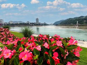 习近平赴四川考察调研丨专题